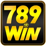 78win8 code